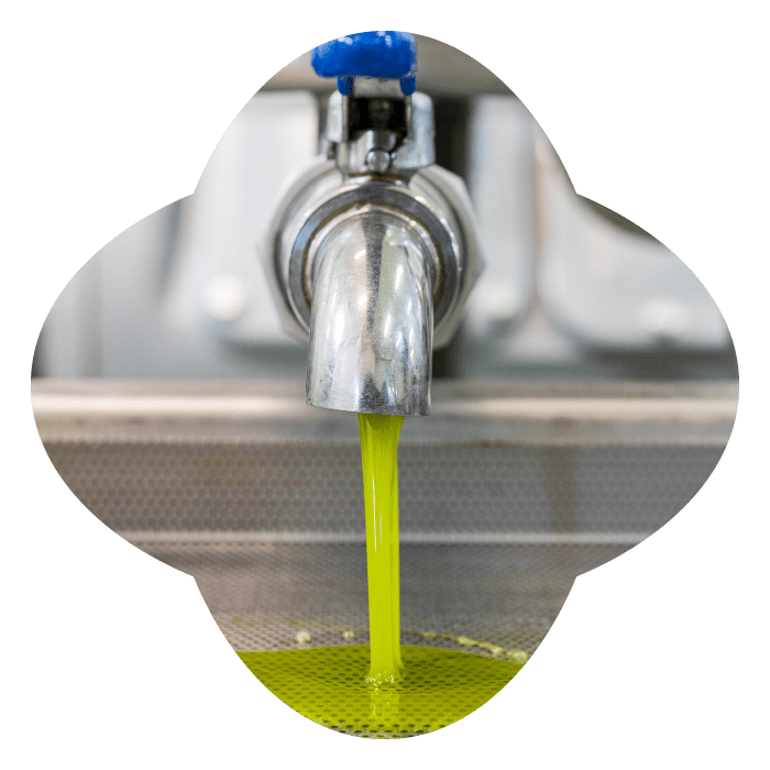 Olio extravergine di oliva nuovo