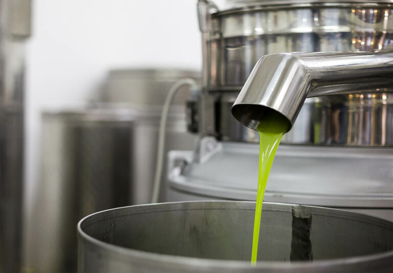 olio extravergine di oliva nuovo che scede in un contenitore