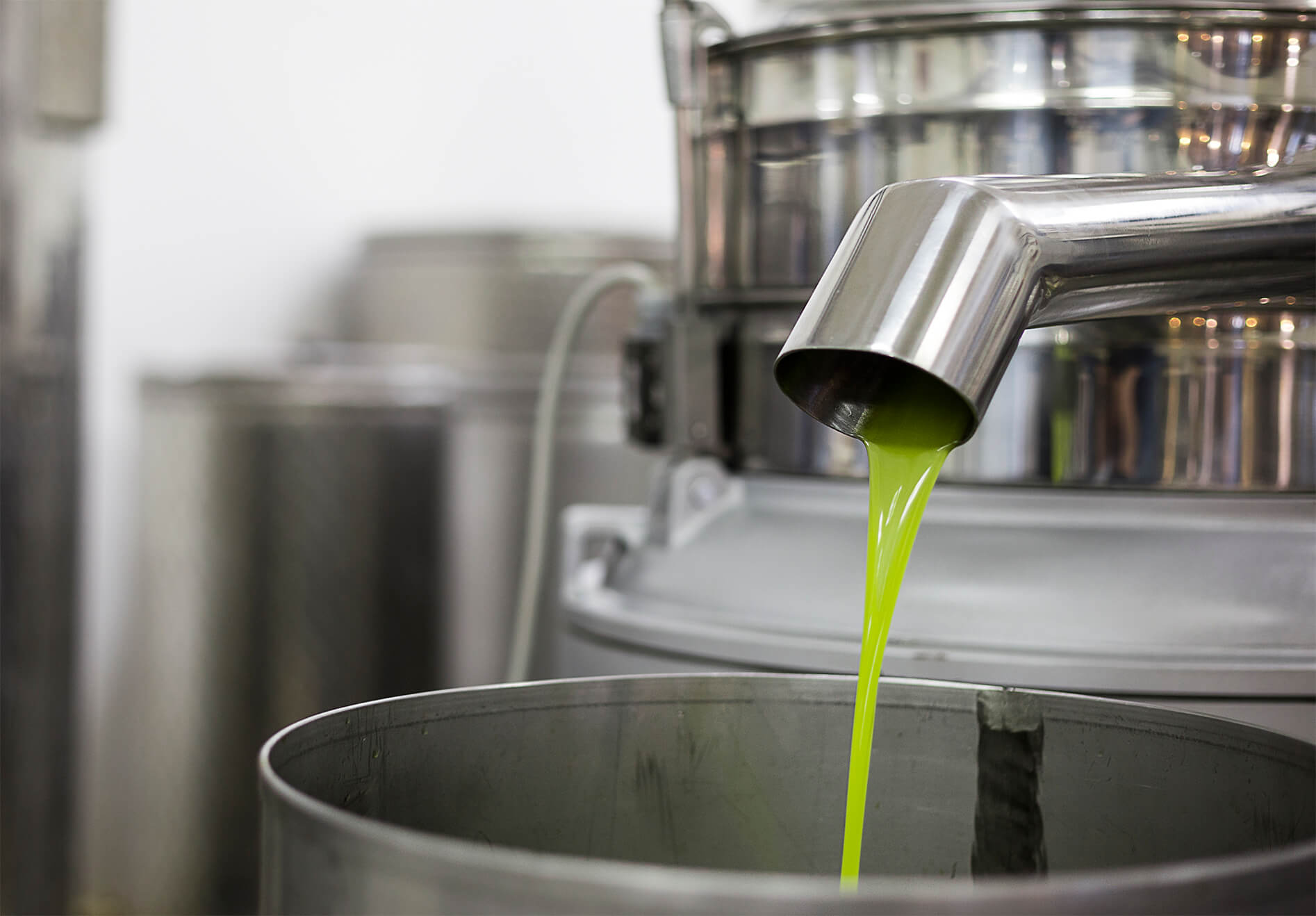 olio extravergine di oliva nuovo che scede in un contenitore